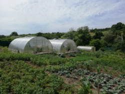 Продается дом Сумская, Сумы, Ковпаковский, Веретеновка фото 15 Продается дом Сумская, Сумы, Ковпаковский, Веретеновка фото 15