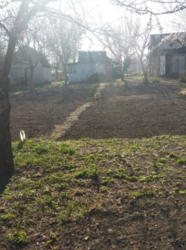 Продается дом Сумская, Сумы, Заречный, Химгородок фото 5 Продается дом Сумская, Сумы, Заречный, Химгородок фото 5