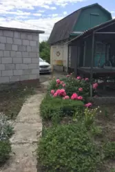 ��������� ��� ����, ������� ���� 1