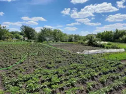 Дача на Тополі фото 4 Дача на Тополі фото 4