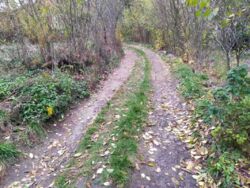 Дача Аэропорт фото 4 Дача Аэропорт фото 4