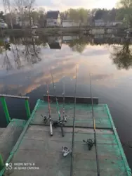   , , , -86, / , 47-  5