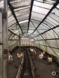 Продается дом Сумская, Сумский, Любачевое фото 6 Продается дом Сумская, Сумский, Любачевое фото 6