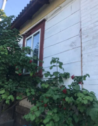 Продается дом Сумская, Сумский фото 5 Продается дом Сумская, Сумский фото 5