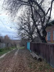 ��������� ��� �����, �����������, ������� ���� 7