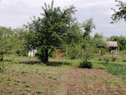 Продается дом Сумская, Сумы, Барановка фото 2 Продается дом Сумская, Сумы, Барановка фото 2