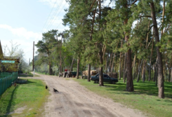 Продается дом Сумская, Сумский, Писаровка, ул. Лесная 108 фото 4 Продается дом Сумская, Сумский, Писаровка, ул. Лесная 108 фото 4