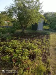 дача на Баранівці фото 9 дача на Баранівці фото 9