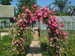 ��������� ��� �� ����������, �/� �������, ����, �������, �������� ���� 8