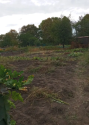 Продается дом Сумская, Сумский фото 4 Продается дом Сумская, Сумский фото 4