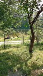 Продается дом Сумская, Сумы, Ковпаковский, Псільська пров. фото 8 Продается дом Сумская, Сумы, Ковпаковский, Псільська пров. фото 8