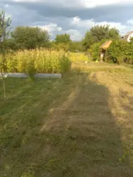 Продается дом Сумская, Сумский, Новоселица, станція Маяк с/т Хімік-2 фото 7 Продается дом Сумская, Сумский, Новоселица, станція Маяк с/т Хімік-2 фото 7