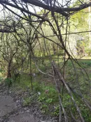 Продается дом Сумская, Сумы, Заречный, Олдиш, с/т Гумовик-86 фото 5 Продается дом Сумская, Сумы, Заречный, Олдиш, с/т Гумовик-86 фото 5