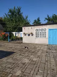 ��������� ��� �������, �������, �������� ���� 6