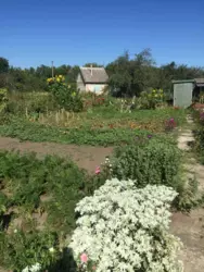 ��������� ��� ����, ������� ���� 5