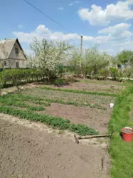 Продается дом Сумская, Сумы, Заречный, Олдиш фото 6 Продается дом Сумская, Сумы, Заречный, Олдиш фото 6