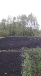 Продается дом Сумская, Сумский фото 2 Продается дом Сумская, Сумский фото 2