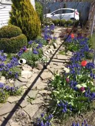 ��������� ��� �����������, �������, ������� ���� 7