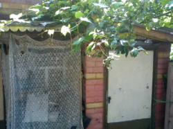 Дом, участок, машина фото 6 Дом, участок, машина фото 6