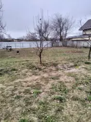 ��������� ��� ���������, ����, �������, �������� ���� 5