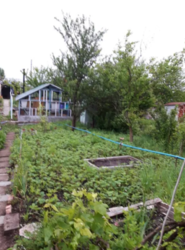 Продается дом Сумская, Сумы, Барановка фото 3 Продается дом Сумская, Сумы, Барановка фото 3