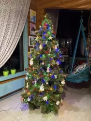 ��������� ��� ���� ���������������, ������ ����, �������, ������� ���� 13