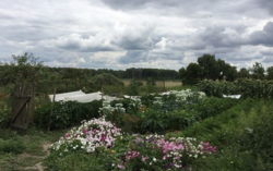 Продается дом Сумская, Сумский, Красное фото 4 Продается дом Сумская, Сумский, Красное фото 4