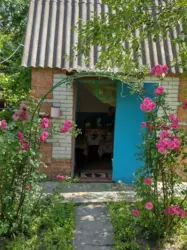 Продается дом Сумская, Сумский, Новоселица, с/т Хімік-2 фото 10 Продается дом Сумская, Сумский, Новоселица, с/т Хімік-2 фото 10