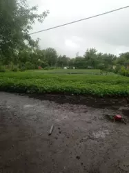 Продается дом Сумская, Сумы, Ковпаковский, Білопільський шлях с/т Цукровик фото 1 Продается дом Сумская, Сумы, Ковпаковский, Білопільський шлях с/т Цукровик фото 1