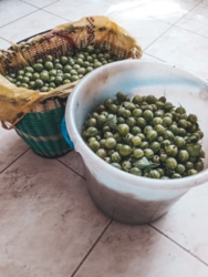 Продается дом Сумская, Сумы фото 7 Продается дом Сумская, Сумы фото 7