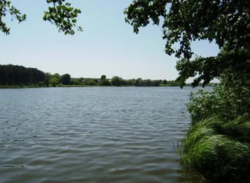 С. Писаревка, Сумская область, Сумской район, ветхий дом, 34 сотки фото 4 С. Писаревка, Сумская область, Сумской район, ветхий дом, 34 сотки фото 4