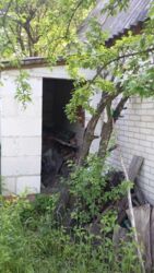 Продается дом Сумская, Сумы, Заречный, Аеропорт, Авіатор фото 10 Продается дом Сумская, Сумы, Заречный, Аеропорт, Авіатор фото 10