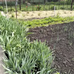 Продается дом Сумская, Сумы, Ковпаковский, Роменська траса с/т Маяк фото 3 Продается дом Сумская, Сумы, Ковпаковский, Роменська траса с/т Маяк фото 3