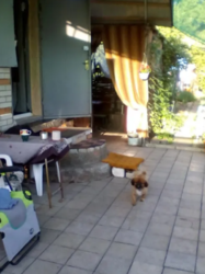 Продается дом Сумская, Сумы, Заречный, Барановке фото 5 Продается дом Сумская, Сумы, Заречный, Барановке фото 5