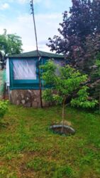 Продается дом Сумская, Сумский, Красное фото 8 Продается дом Сумская, Сумский, Красное фото 8