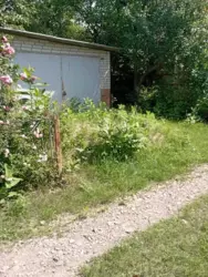 Дача біля річки фото 3 Дача біля річки фото 3