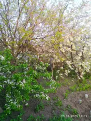 Продается дом Сумская, Сумы, Ковпаковский, р-н центрального ринку фото 7 Продается дом Сумская, Сумы, Ковпаковский, р-н центрального ринку фото 7