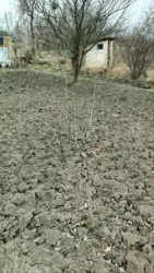 Продается дом Сумская, Сумы, Заречный, Баранівка фото 5 Продается дом Сумская, Сумы, Заречный, Баранівка фото 5