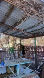 Продается дом с/т Чисті пруди, Сумы, Сумская, Заречный фото 19 Продается дом с/т Чисті пруди, Сумы, Сумская, Заречный фото 19