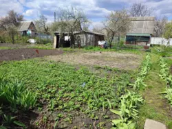 дачна ділянка на Білопільській фото 1 дачна ділянка на Білопільській фото 1