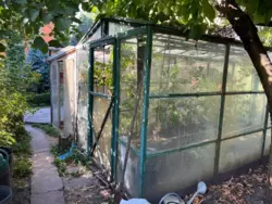 ��������� ��� ������������, ����, �������, ������������ ���� 15