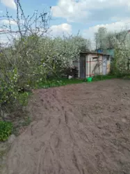 Продается дом Сумская, Сумы, Заречный, Олдиш фото 4 Продается дом Сумская, Сумы, Заречный, Олдиш фото 4