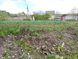 Продается дом Сумская, Сумский, Бездрык, с/т Бездрицький фото 5 Продается дом Сумская, Сумский, Бездрык, с/т Бездрицький фото 5