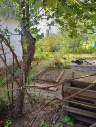 Продается дом Сумская, Сумы, Заречный, Олдиш 86 фото 6 Продается дом Сумская, Сумы, Заречный, Олдиш 86 фото 6