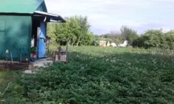 Дача на Тополі фото 2 Дача на Тополі фото 2