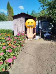 Продается дом Чисті пруди с/т Колосок, Сумы, Сумская, Заречный фото 1 Продается дом Чисті пруди с/т Колосок, Сумы, Сумская, Заречный фото 1