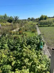 ��������� ��� �������, ����, ��������, �����, ��� ������ �/� ���-1 ���� 4