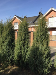 Продается дом Сумская, Сумы, Запорізька вул. фото 12 Продается дом Сумская, Сумы, Запорізька вул. фото 12