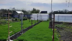 Продается дом Сумская, Сумы, Заречный, р-н Баранівського лісництва фото 4 Продается дом Сумская, Сумы, Заречный, р-н Баранівського лісництва фото 4