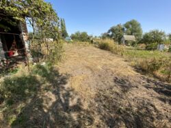 Дача Олдыш фото 8 Дача Олдыш фото 8